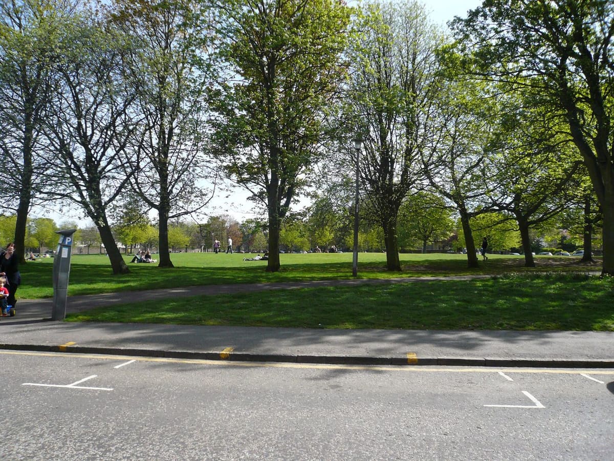 Trees and open grass on Bruntsfield Links seen from Bruntsfield Place in Edinburgh
